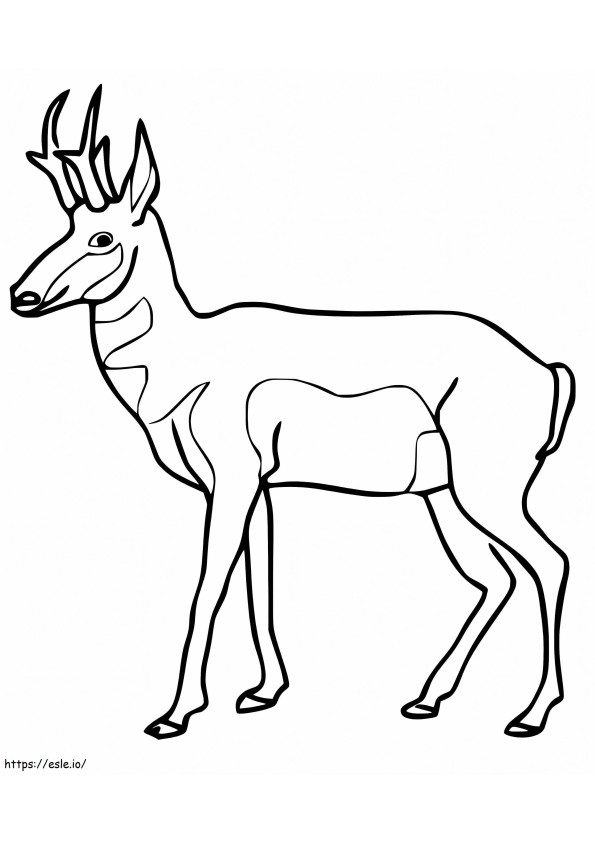 Funny Pronghorn coloring page