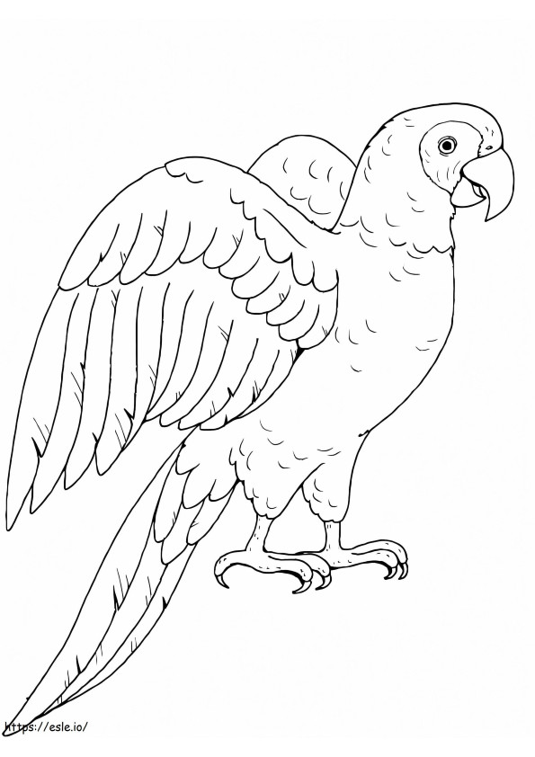 Perfect Parrot coloring page