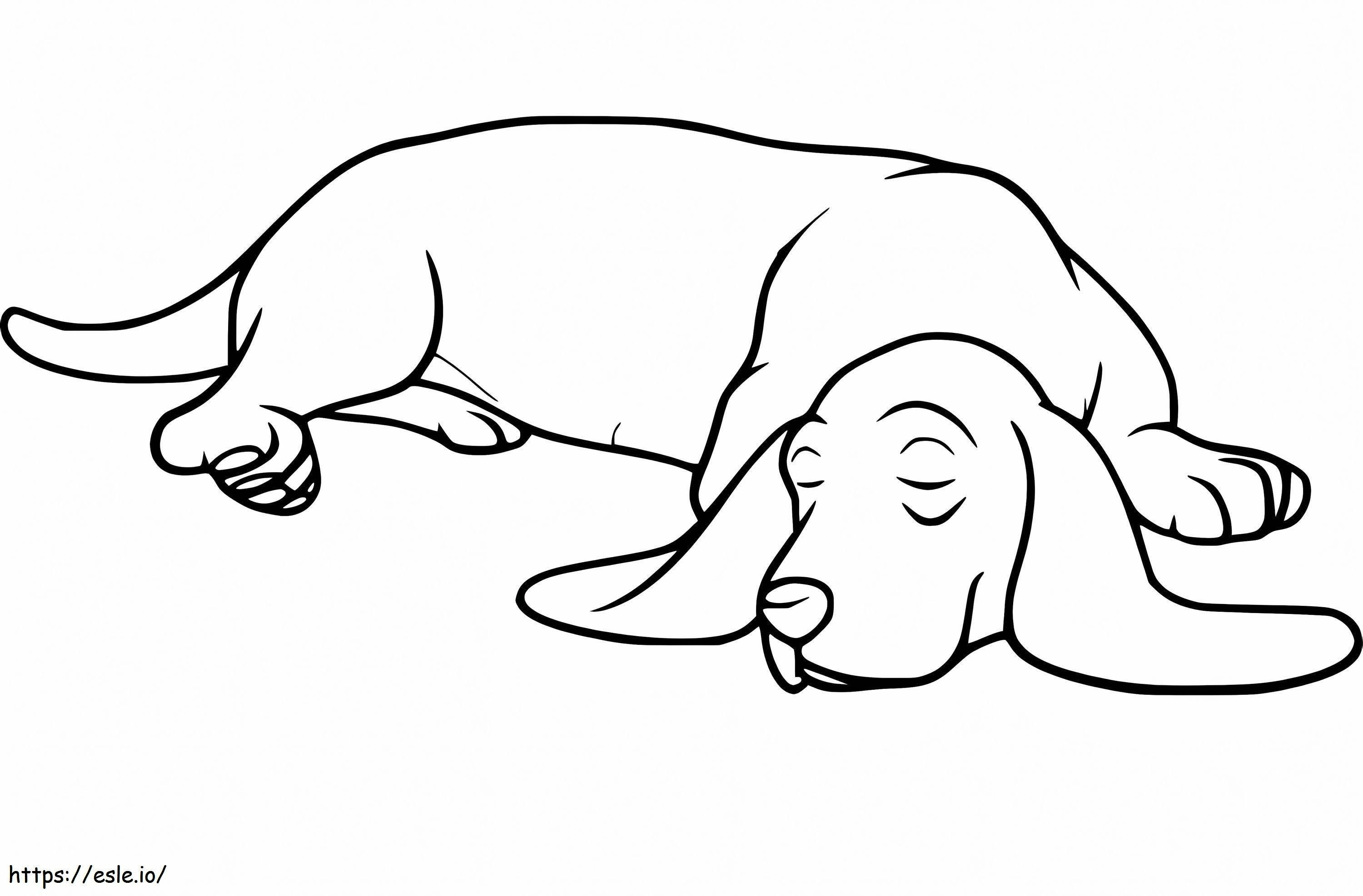Basset-koira nukkuu värityskuva