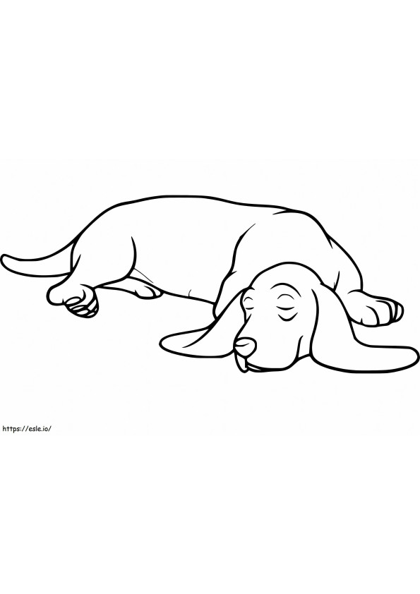 Coloriage Basset Hound endormi à imprimer dessin
