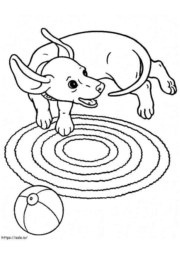 Playful Dachshund coloring page