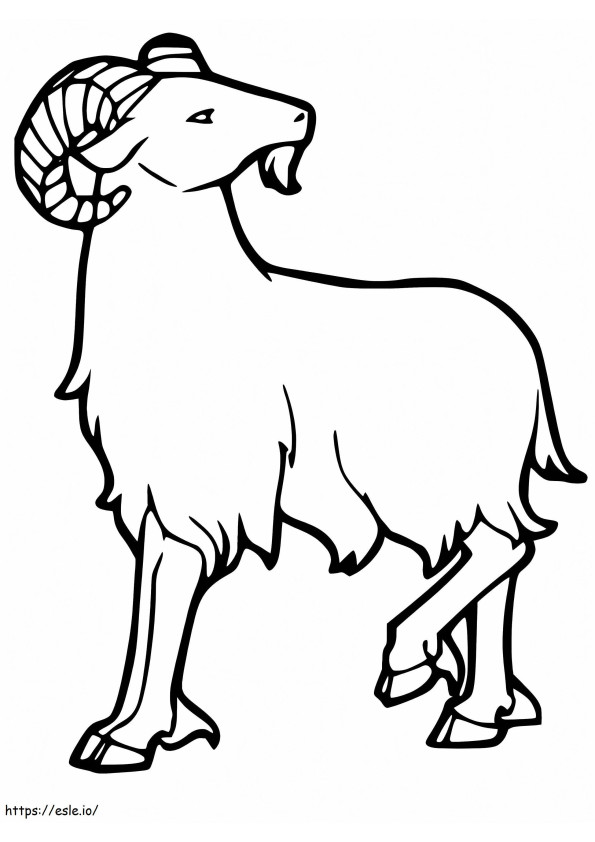 Majestic Ram