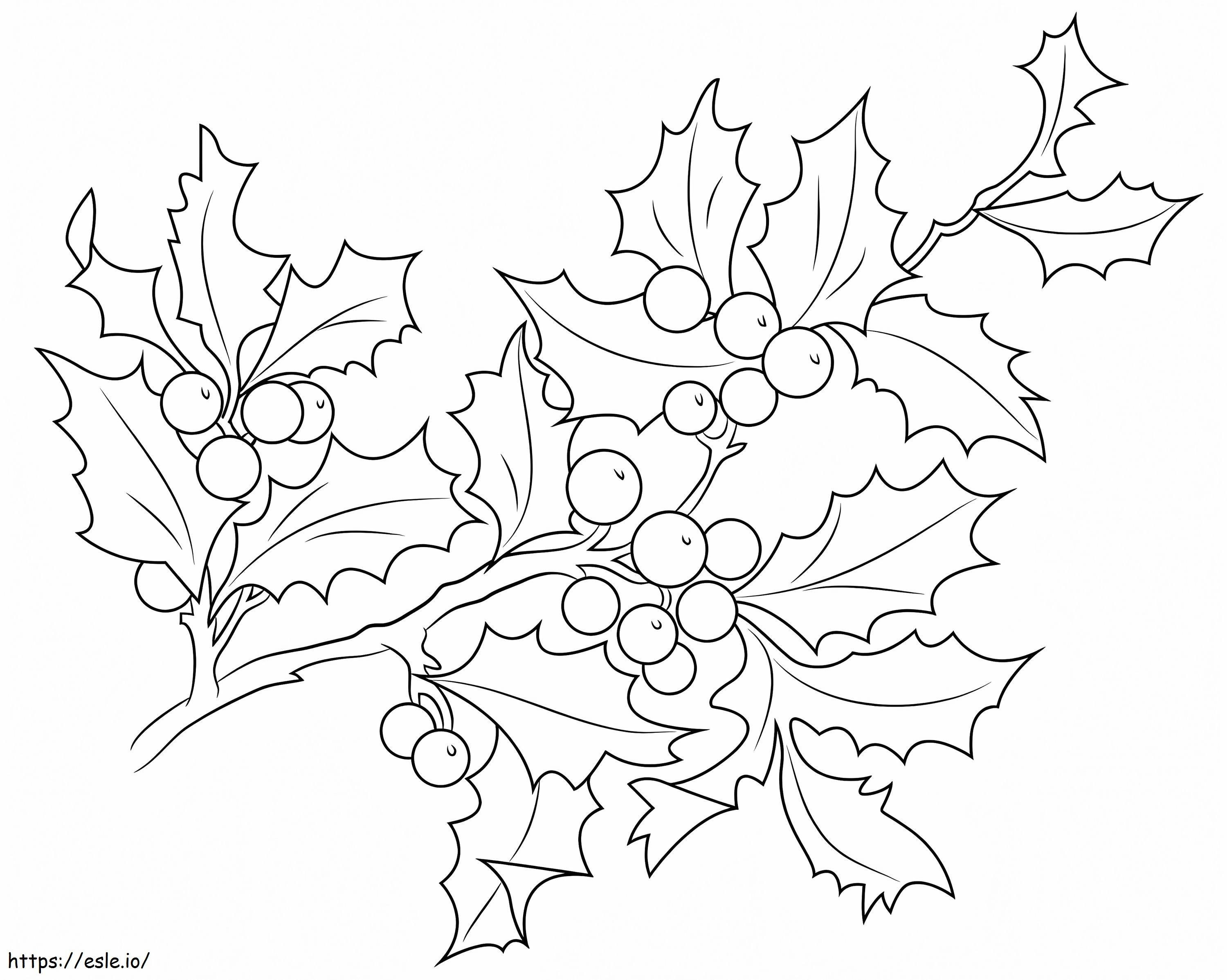 Coloriage Baies de houx de Noël à imprimer dessin