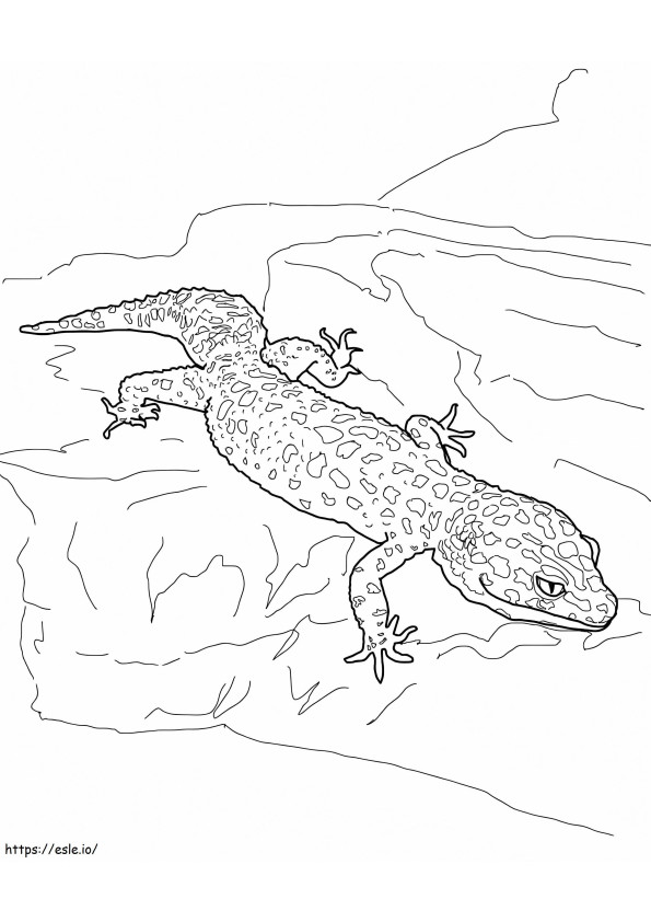 Luipaardgekko 2