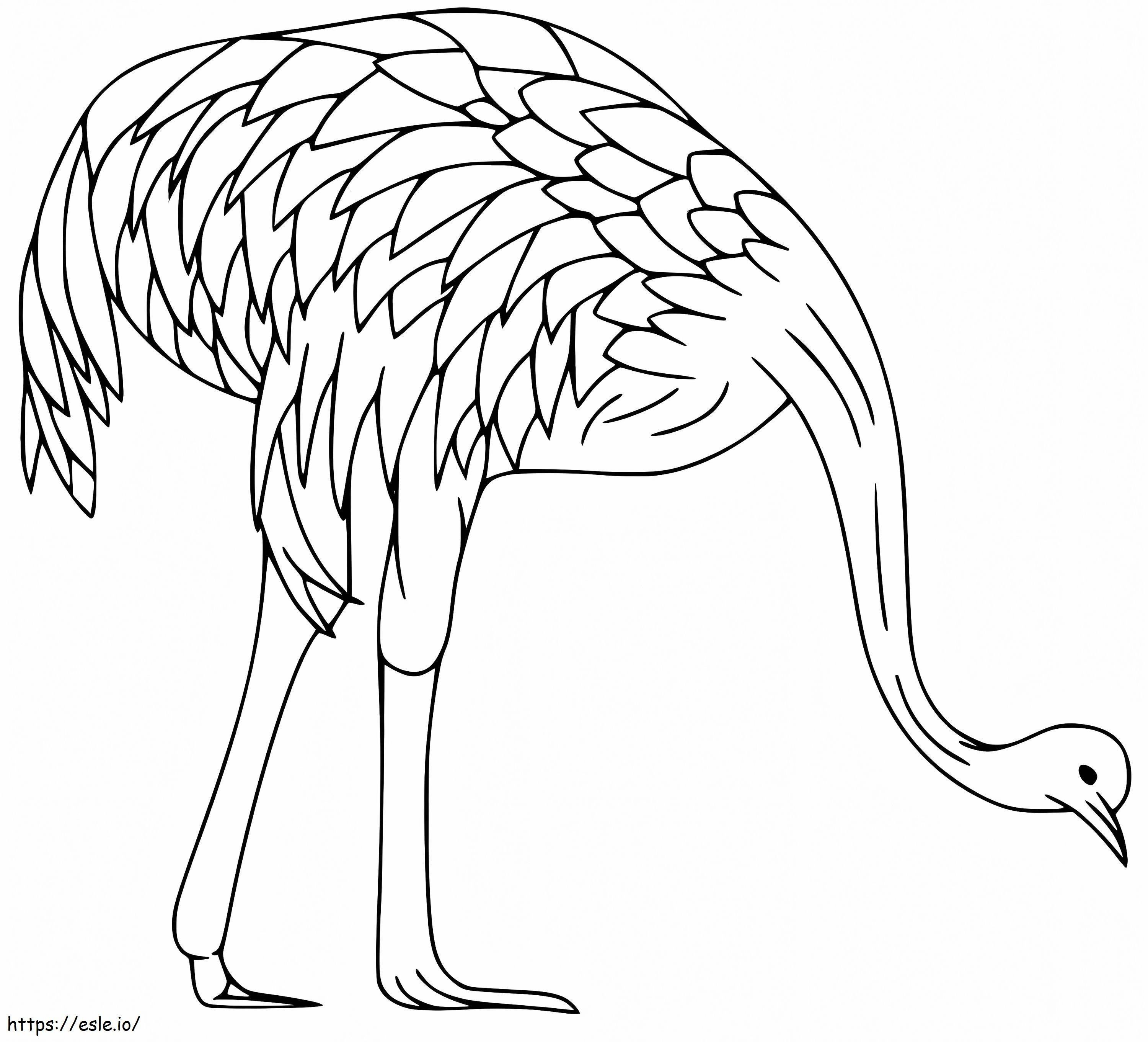 Emu 2 Gambar Mewarnai