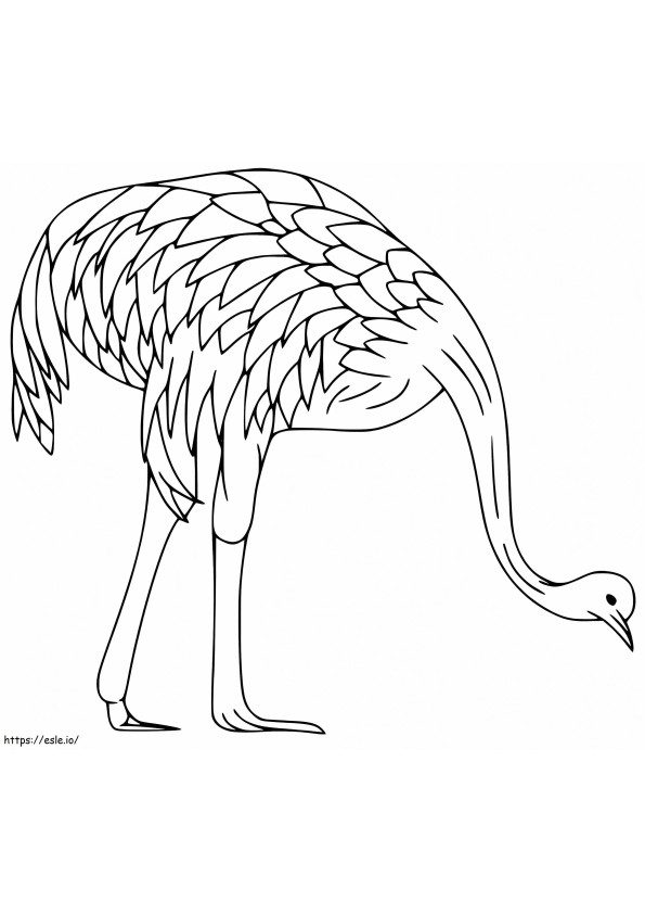 Emu 2 coloring page