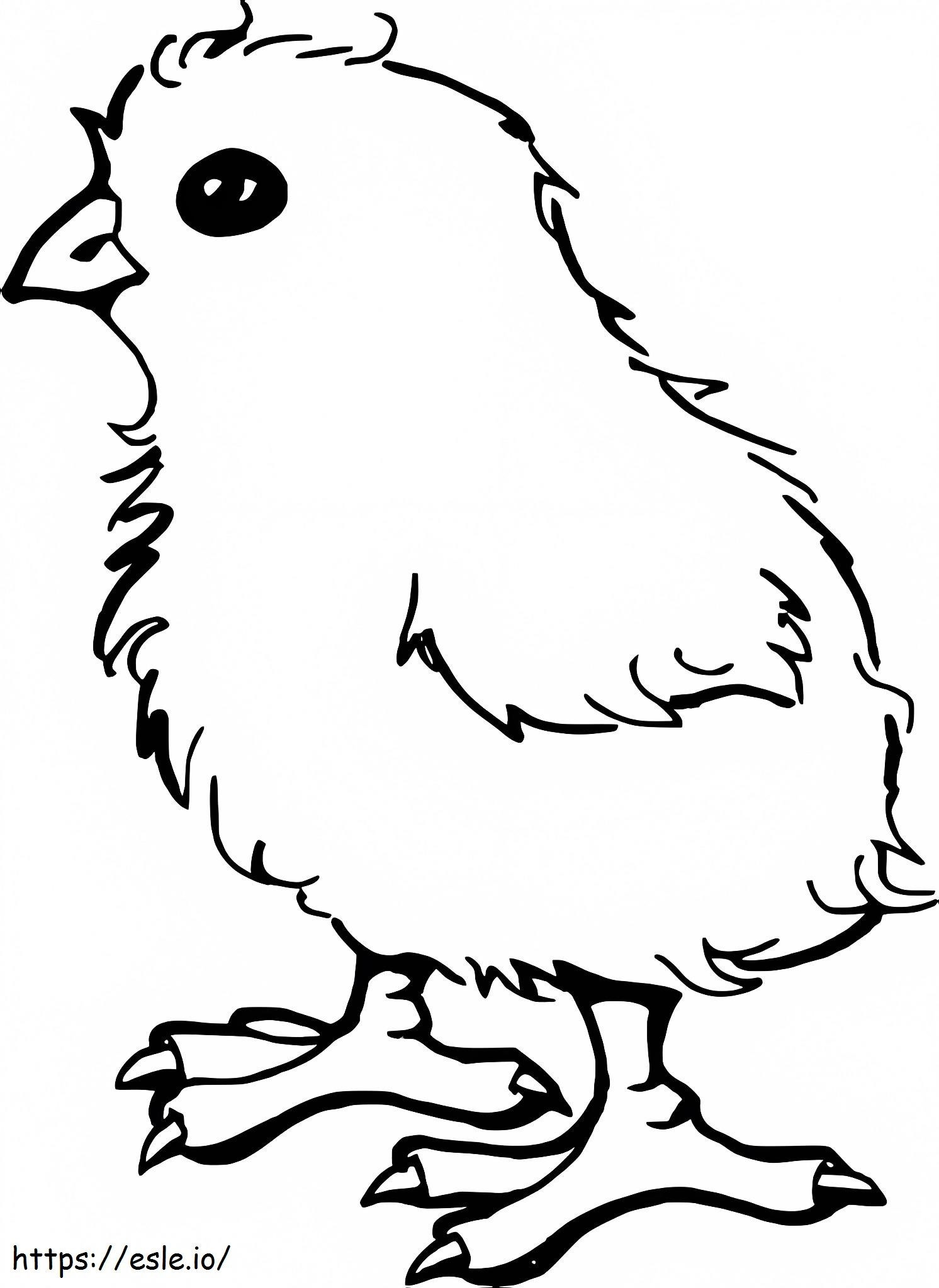 Basic Chick coloring page