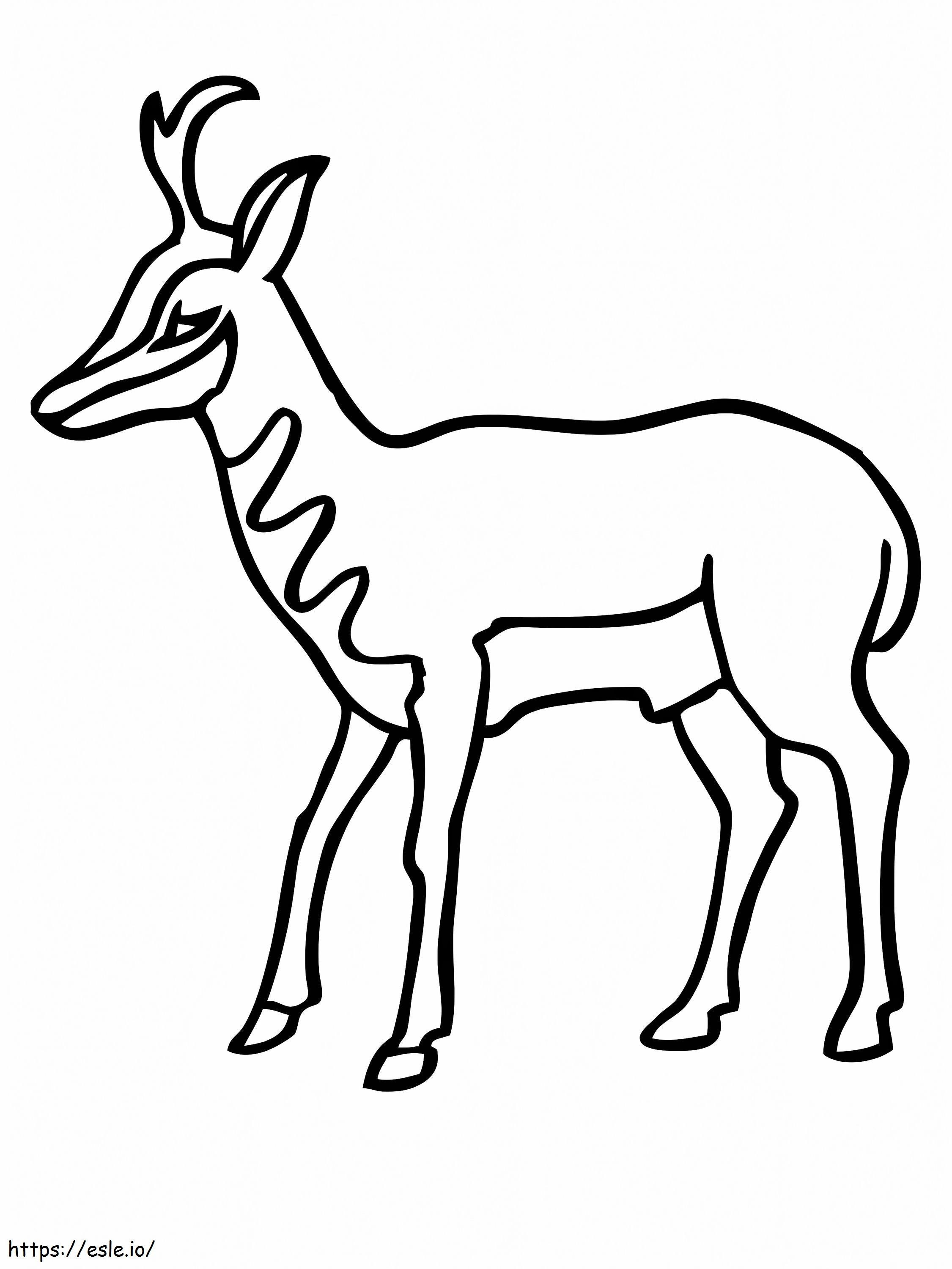 Coloriage Antilope américaine Pronghorn à imprimer dessin