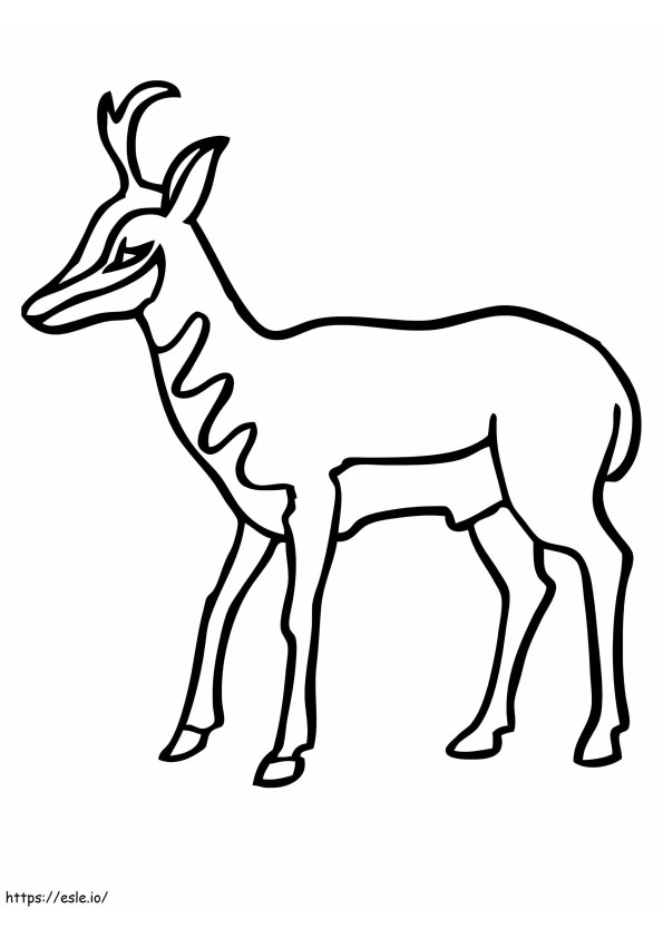 Coloriage Antilope américaine Pronghorn à imprimer dessin