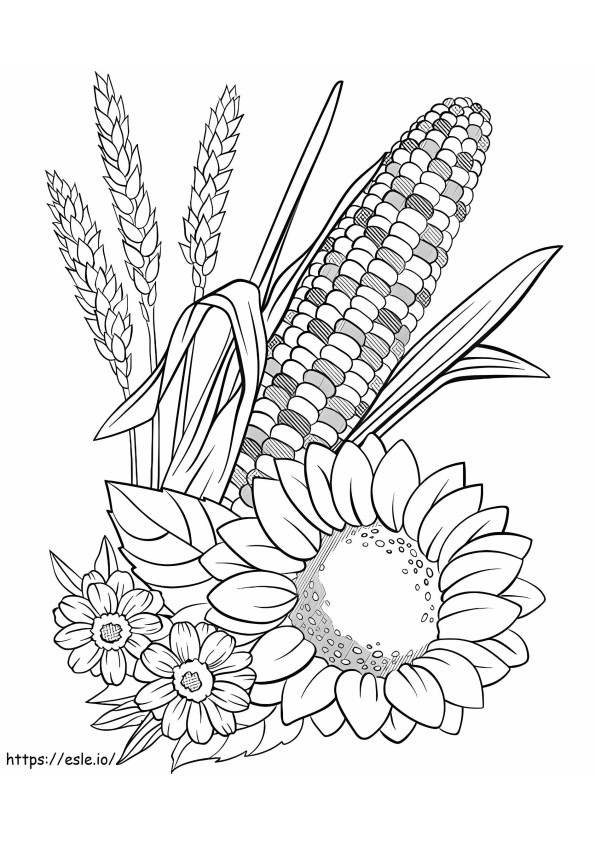maíz y flor para colorear