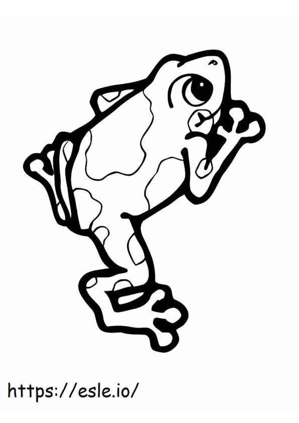 Frog Amphibians coloring page