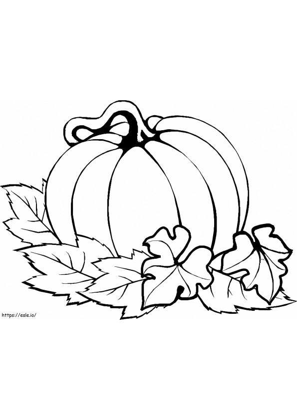 Coloriage Citrouille de Thanksgiving à imprimer dessin