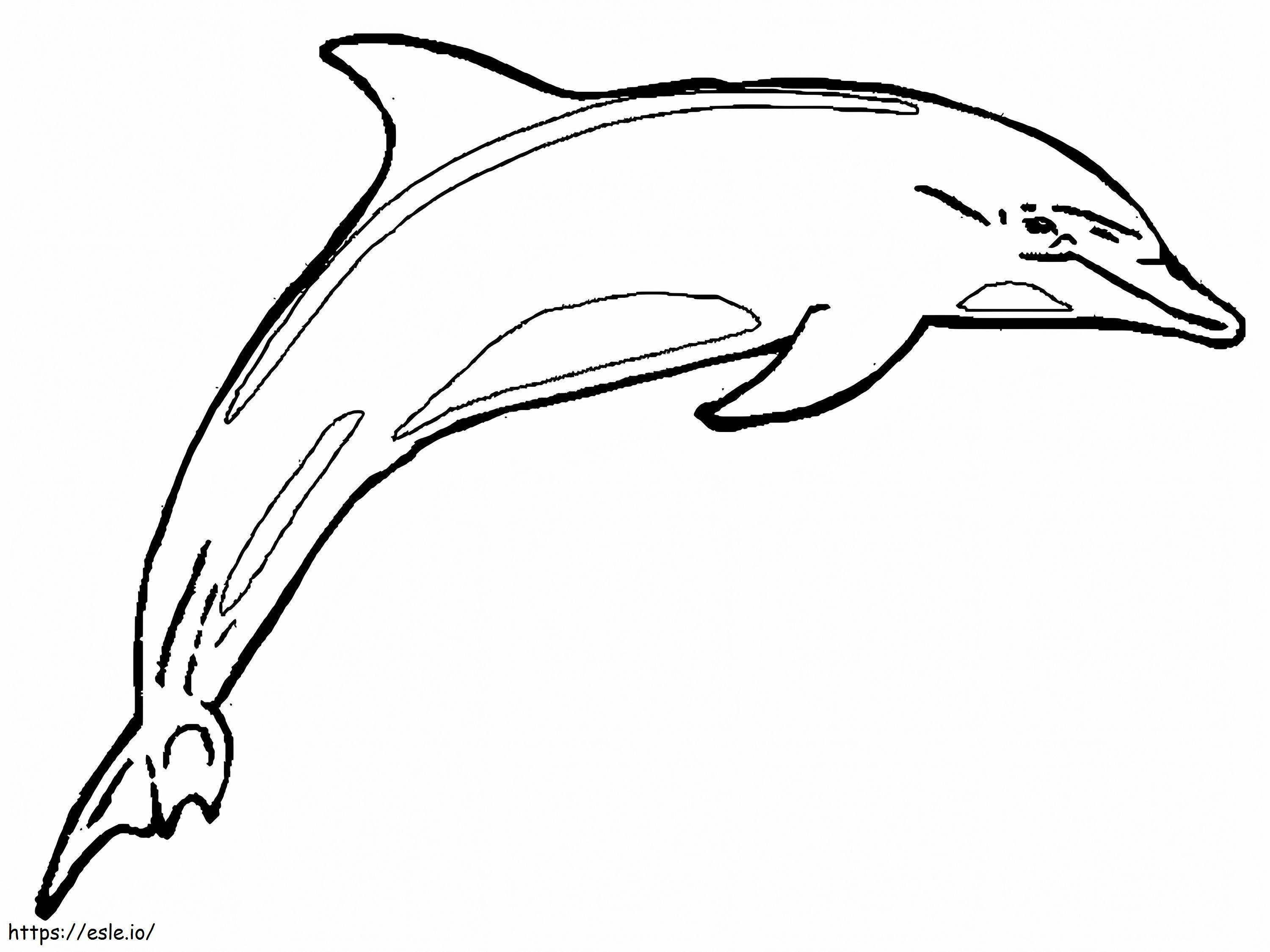 Delfin normal de colorat