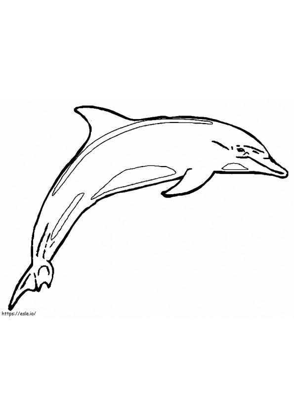 Normale dolfijn kleurplaat