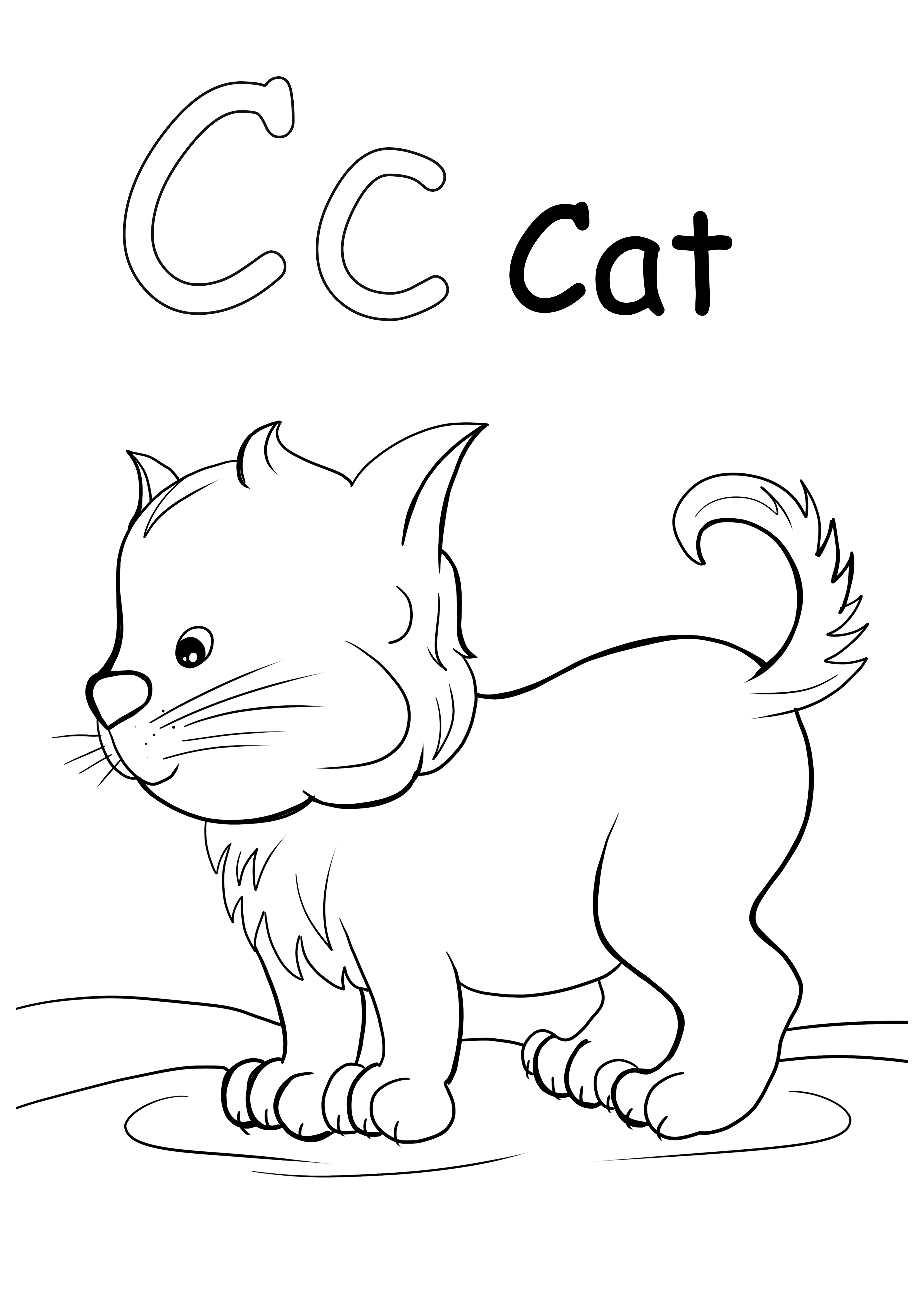 Hoja para colorear C es para gato para imprimir gratis