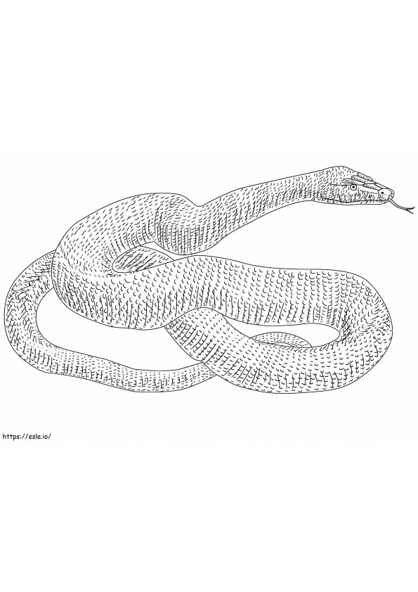 Anaconda-slang kleurplaat