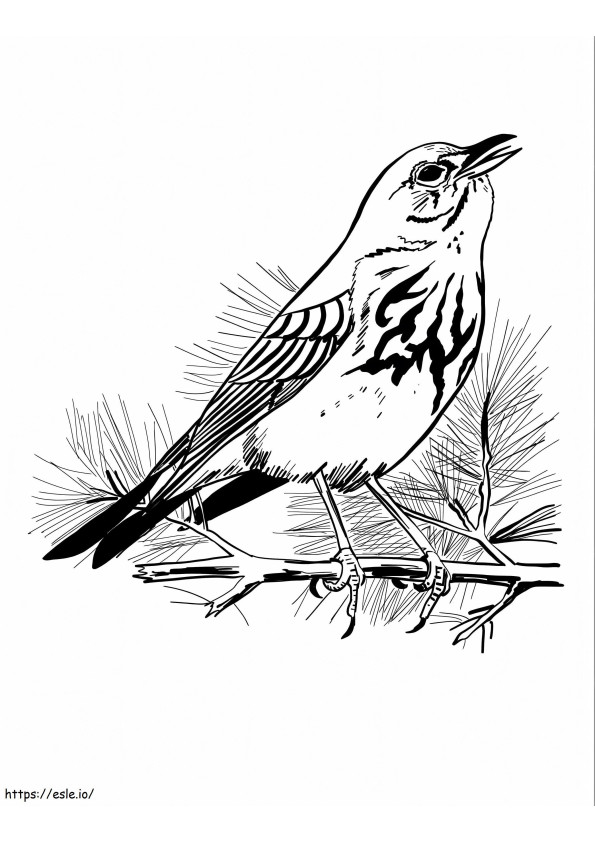 Fresco Nightingale coloring page
