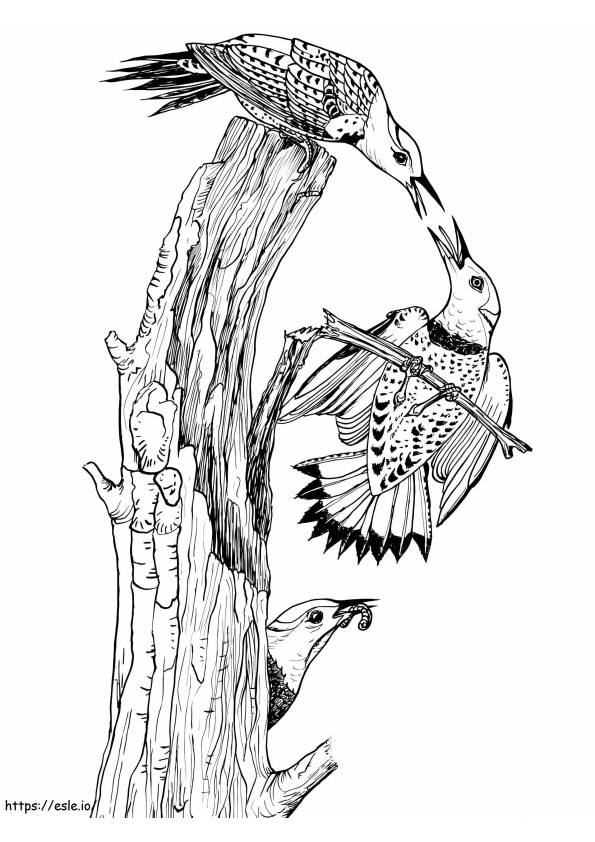 Northern Yellow Woodpecker coloring page