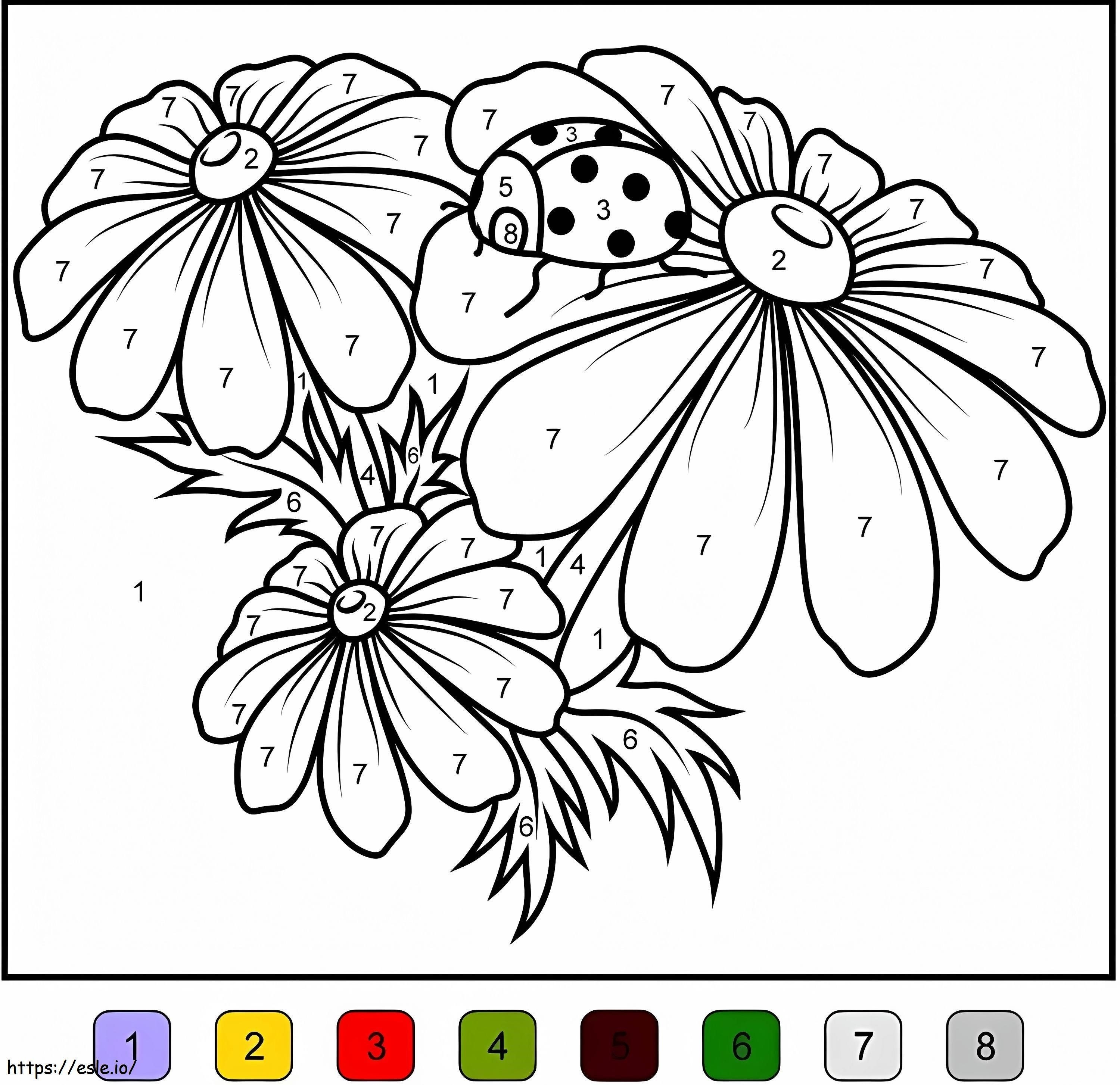 Camomile Color By Number coloring page