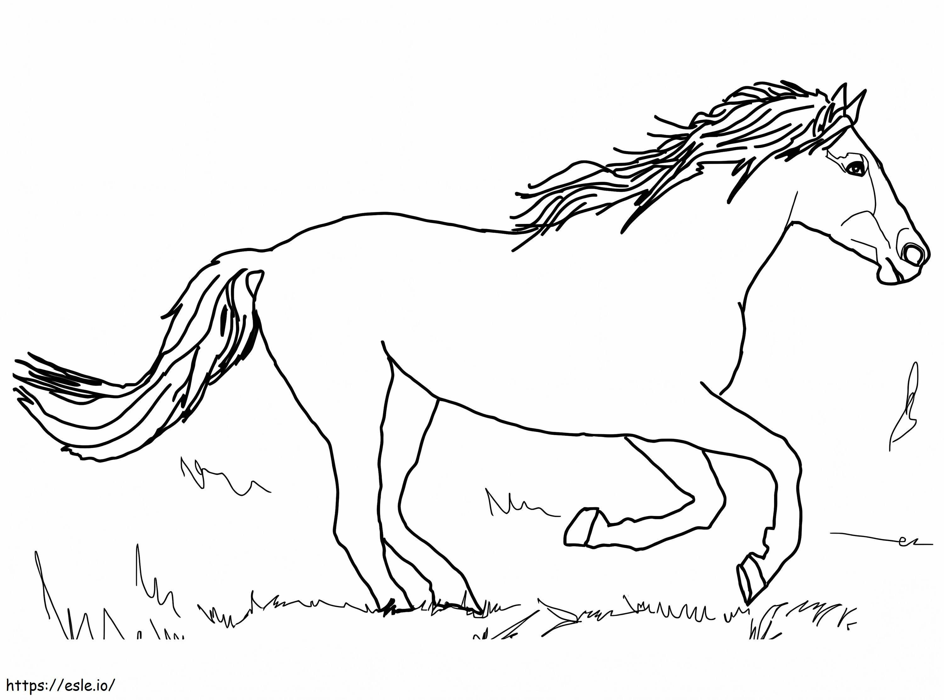 Koń Biegnie kolorowanka