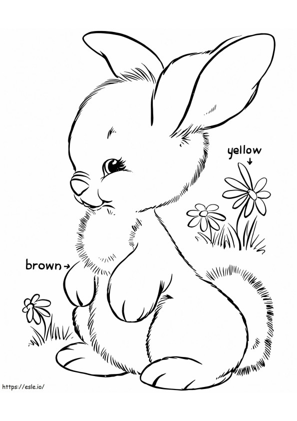 Brown Rabbit