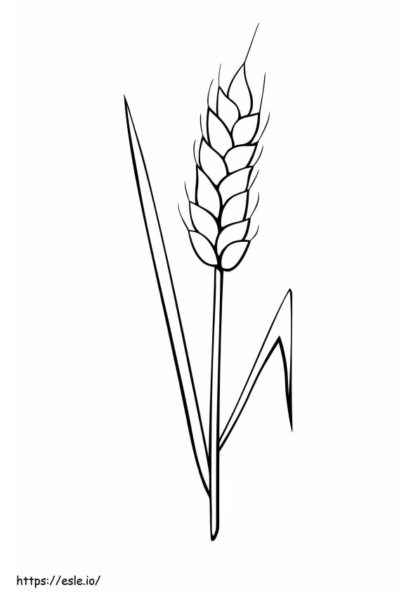 Good Wheat coloring page