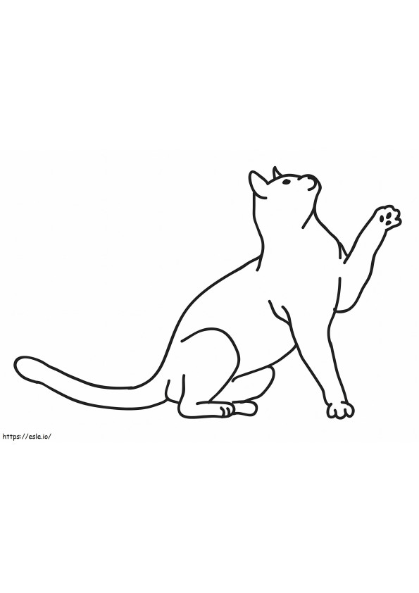 A Cat 1 coloring page