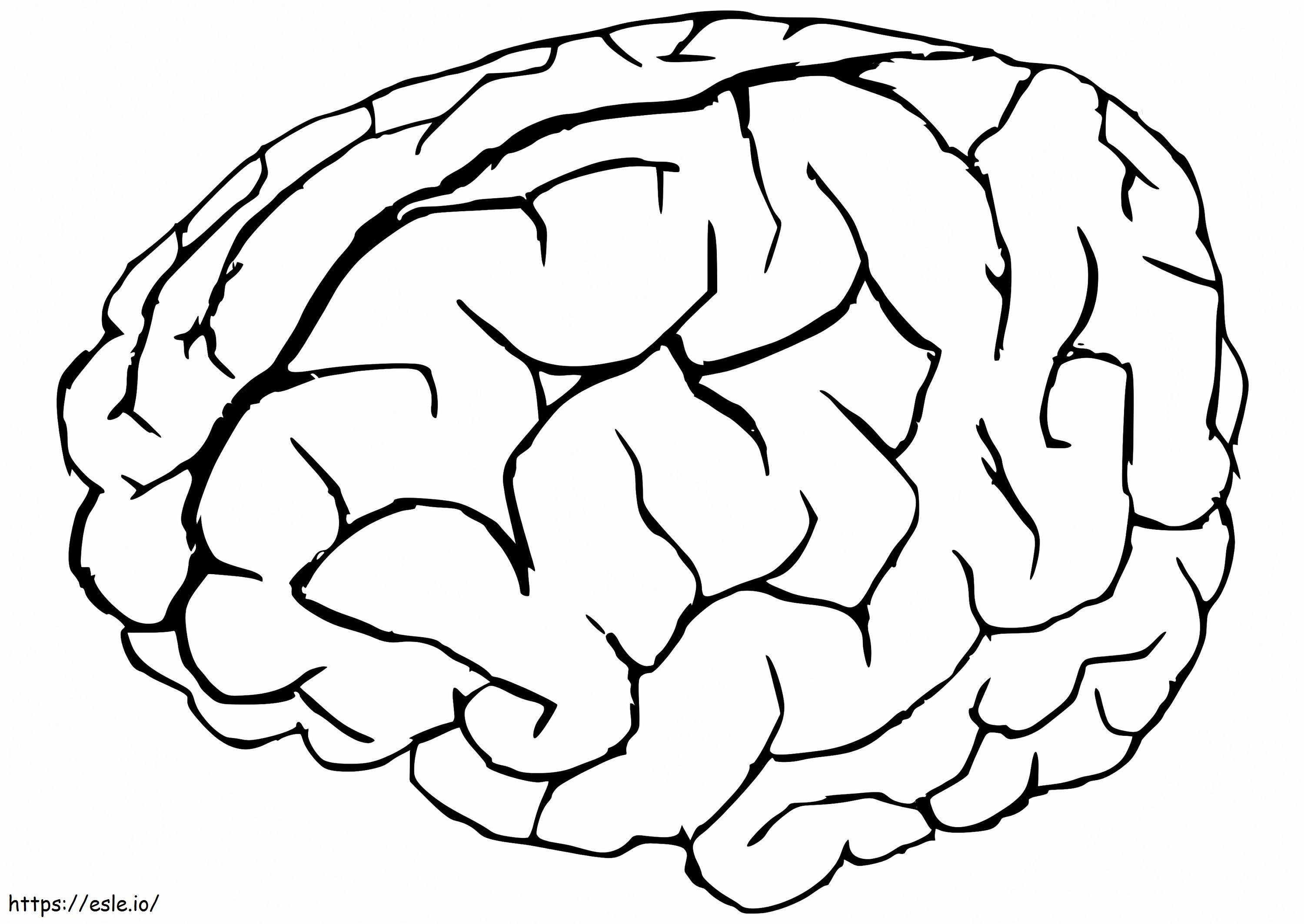 印刷可能な人間の脳 ぬりえ - 塗り絵