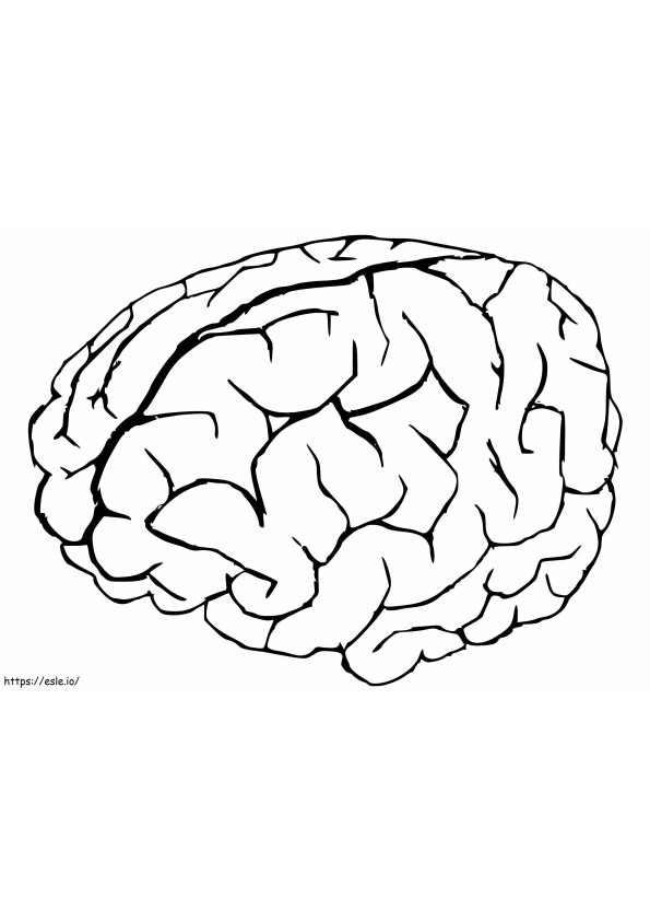 Printable Human Brain coloring page