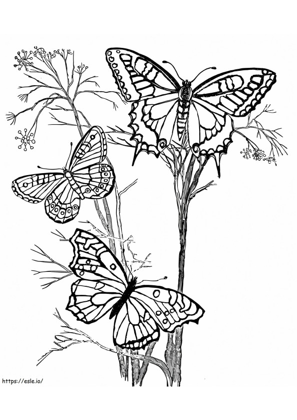 Butterflies Flying coloring page