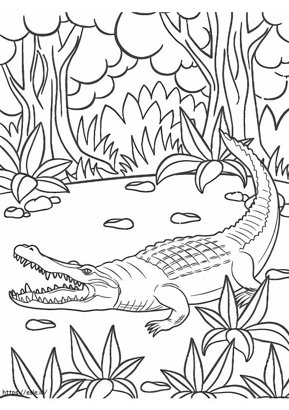 Krokodil a dzsungelben
