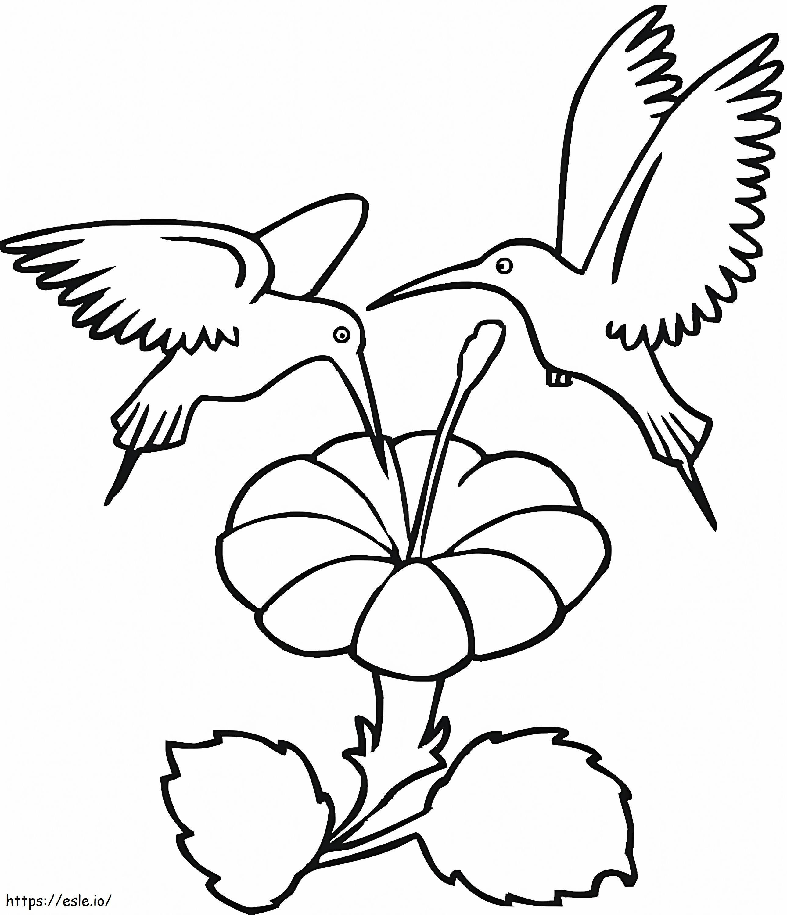 Coloriage Deux colibris avec fleur à imprimer dessin