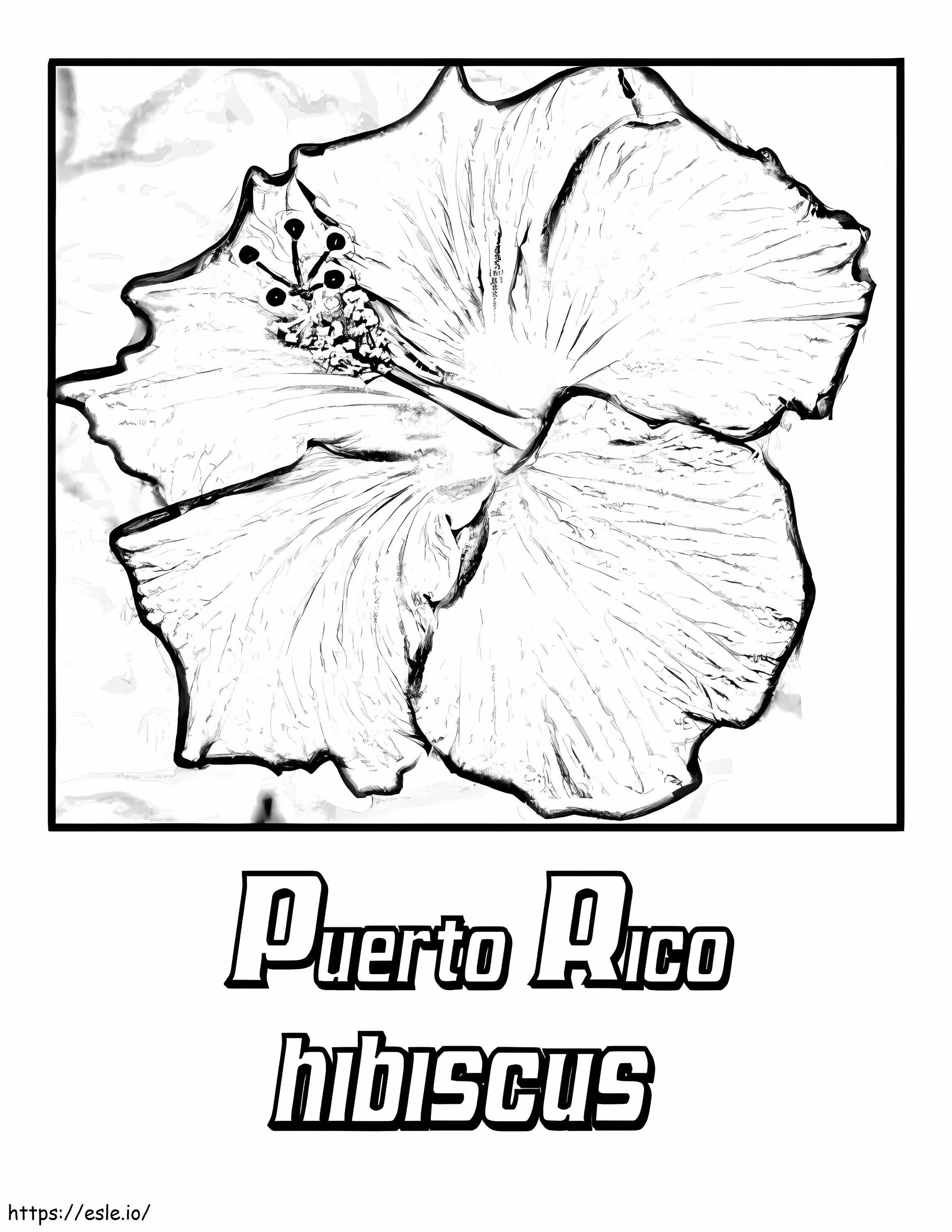 Hibiscus portorican 1 de colorat
