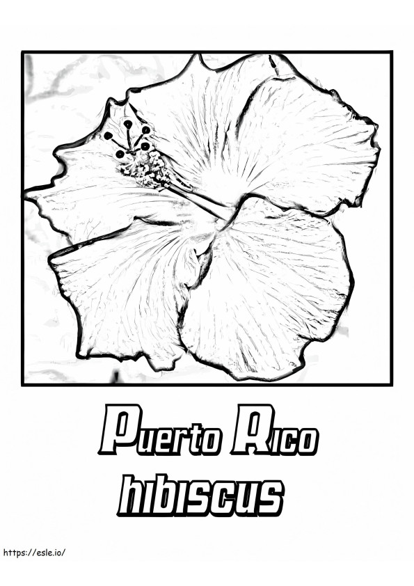 Coloriage Hibiscus de Porto Rico 1 à imprimer dessin