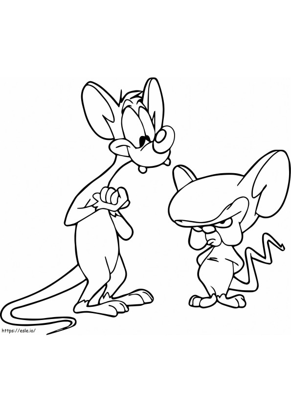 Pinky And The Brain 1 coloring page