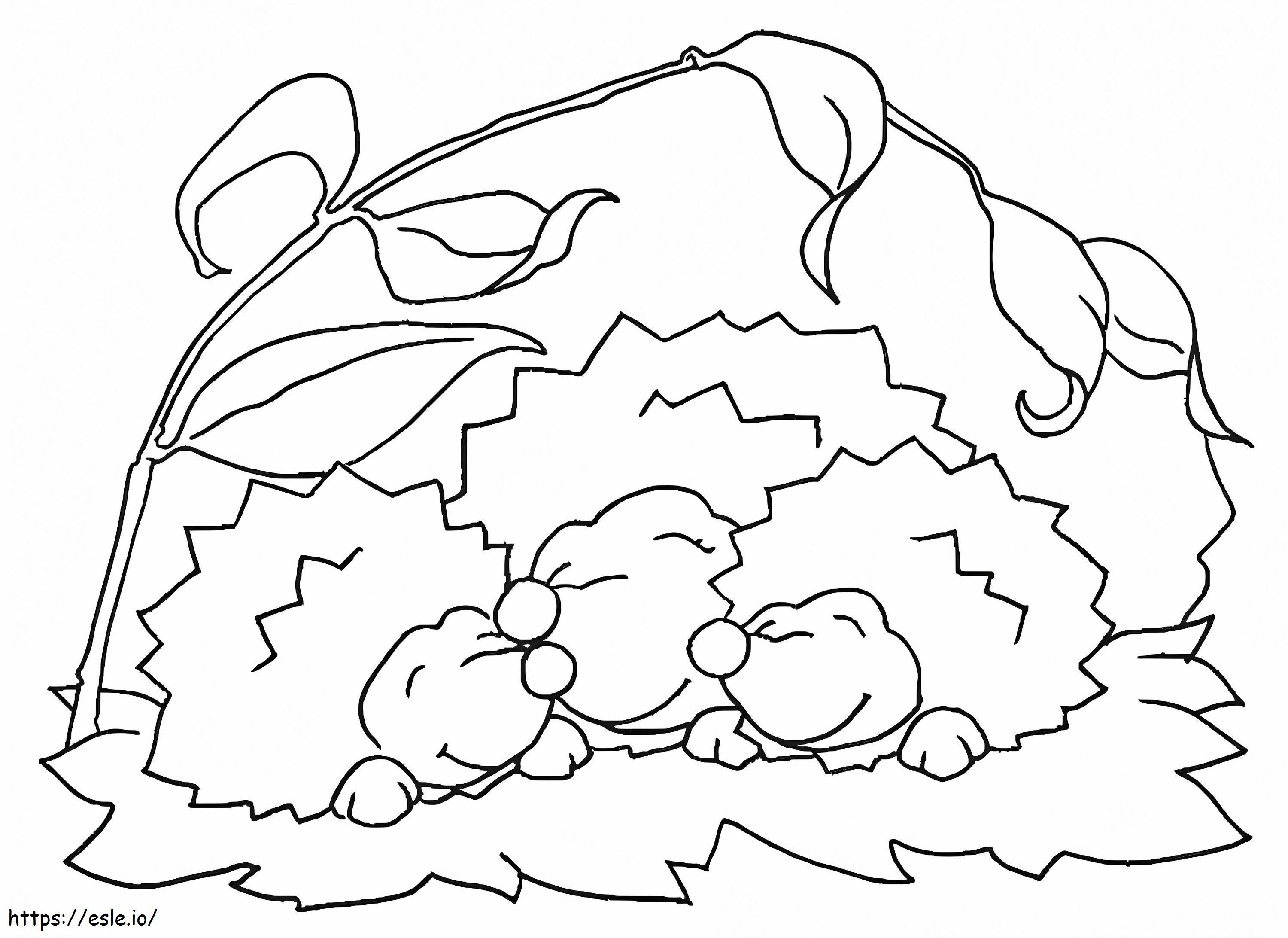 Three Smiling Hedgehogs coloring page