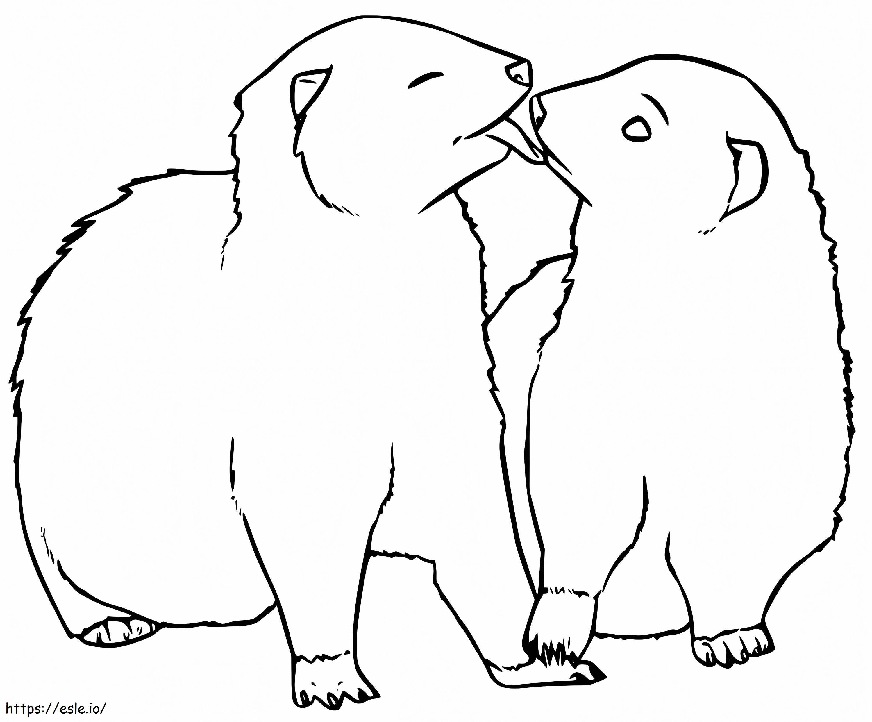 Ferrets coloring page