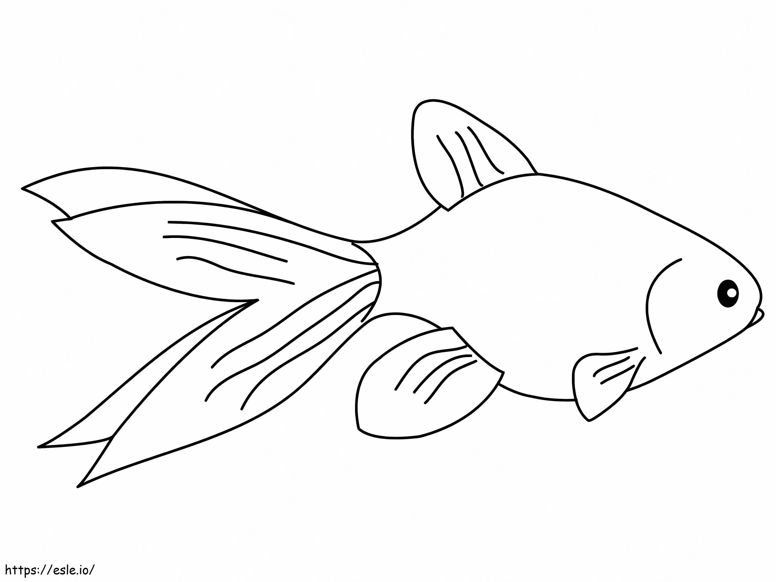 Peixe dourado normal para colorir