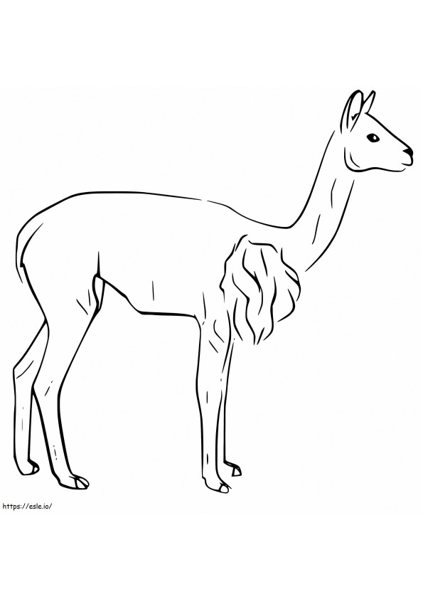 Free Printable Vicuna coloring page