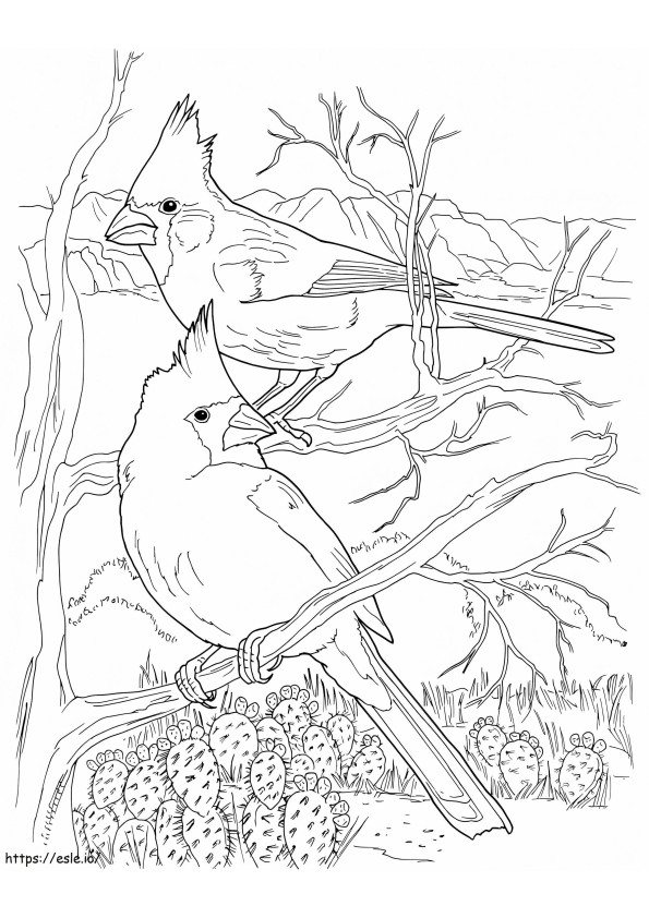 Desert Cardinals