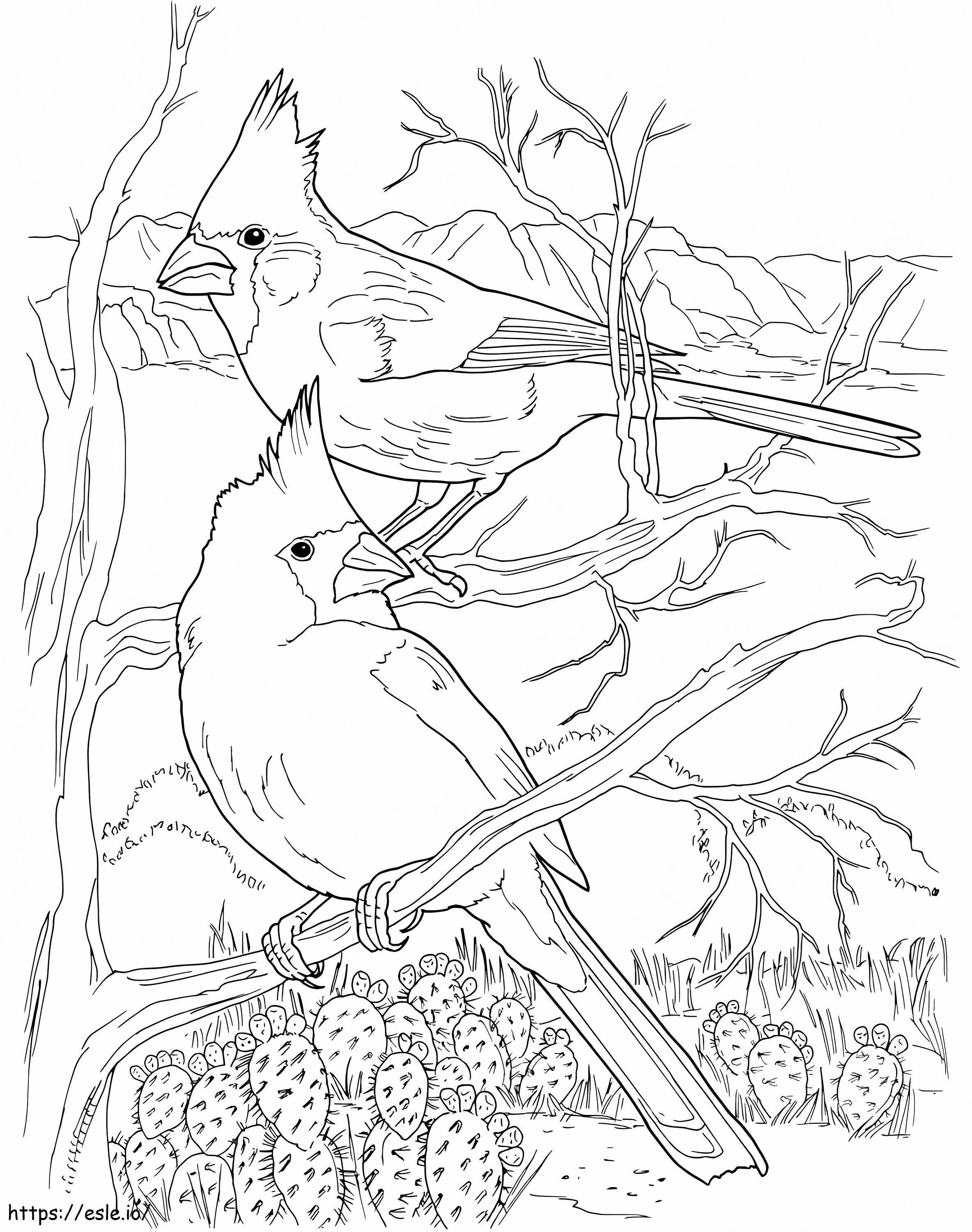 Desert Cardinals Coloring Page