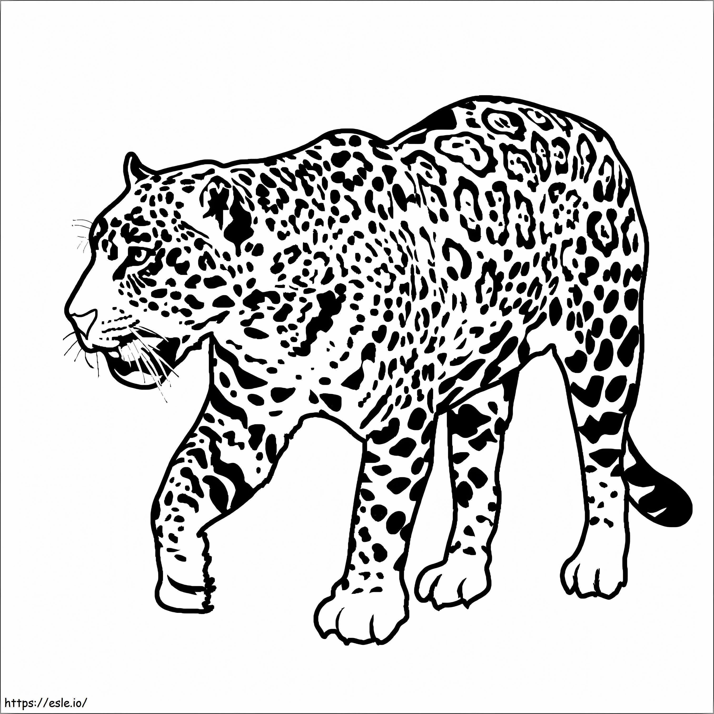 Jaguar Walk coloring page