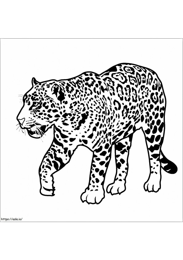 Jaguar kävely värityskuva