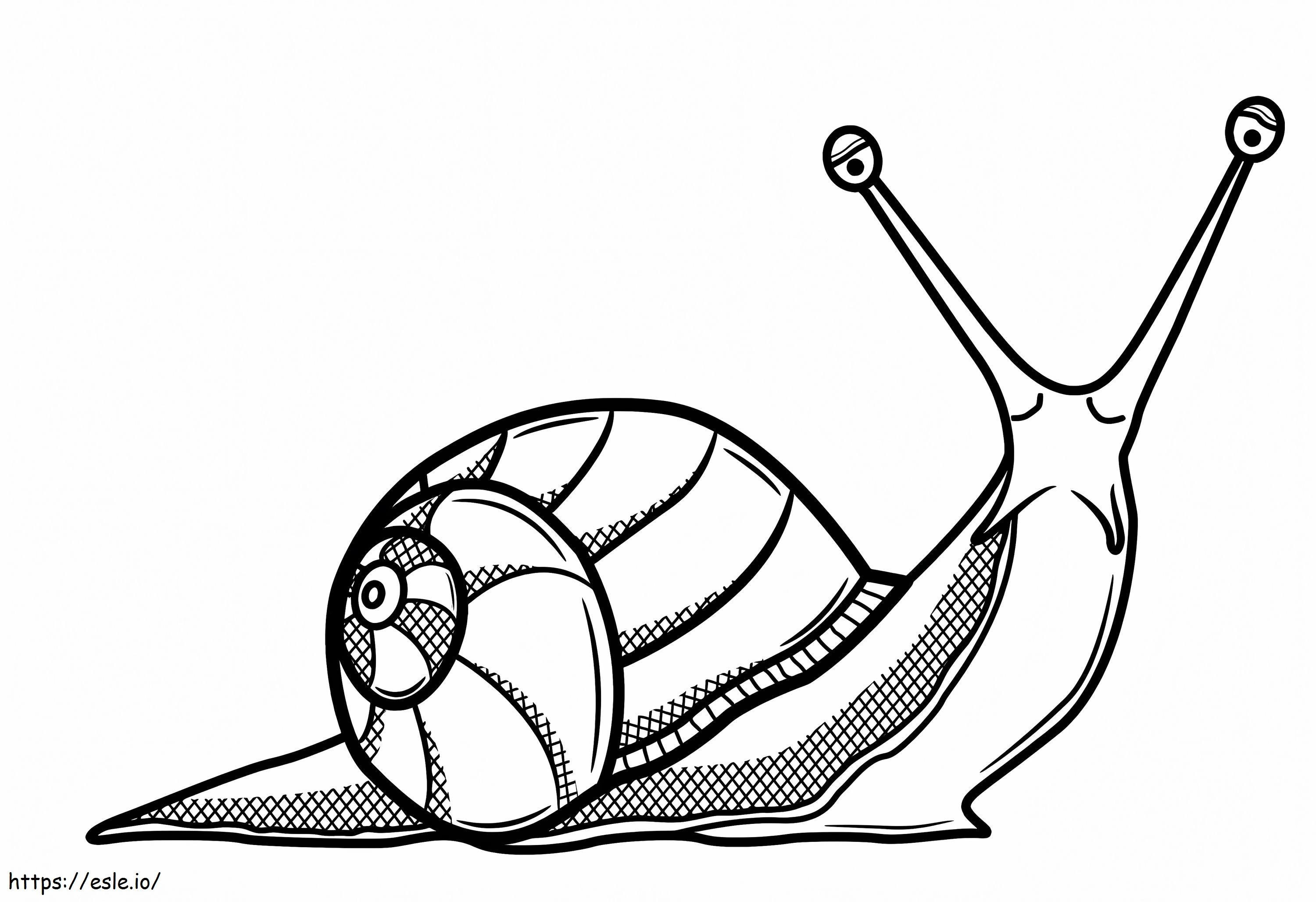 Beautiful Snail coloring page