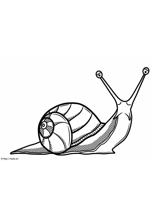 Beautiful Snail coloring page