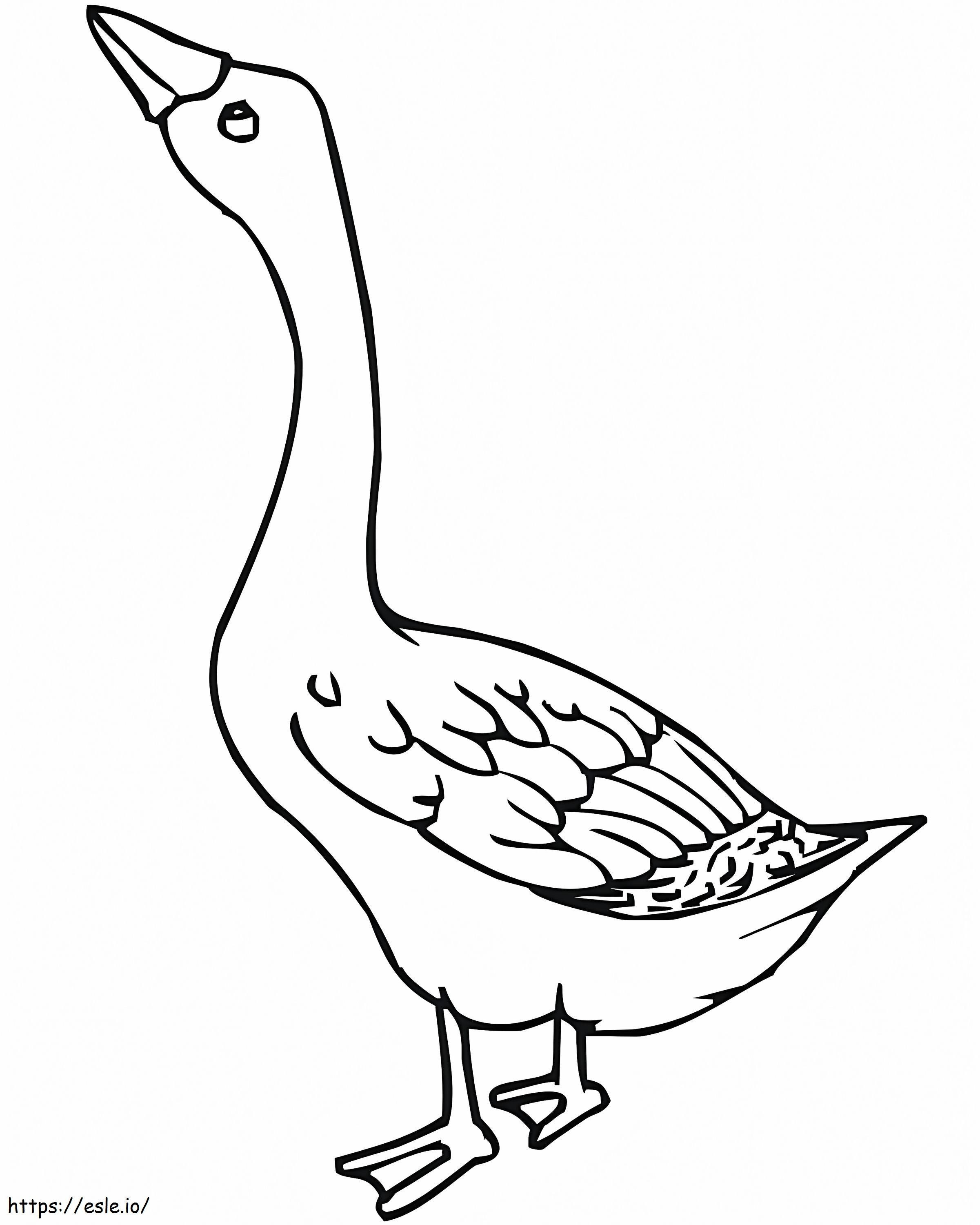 Free Goose coloring page