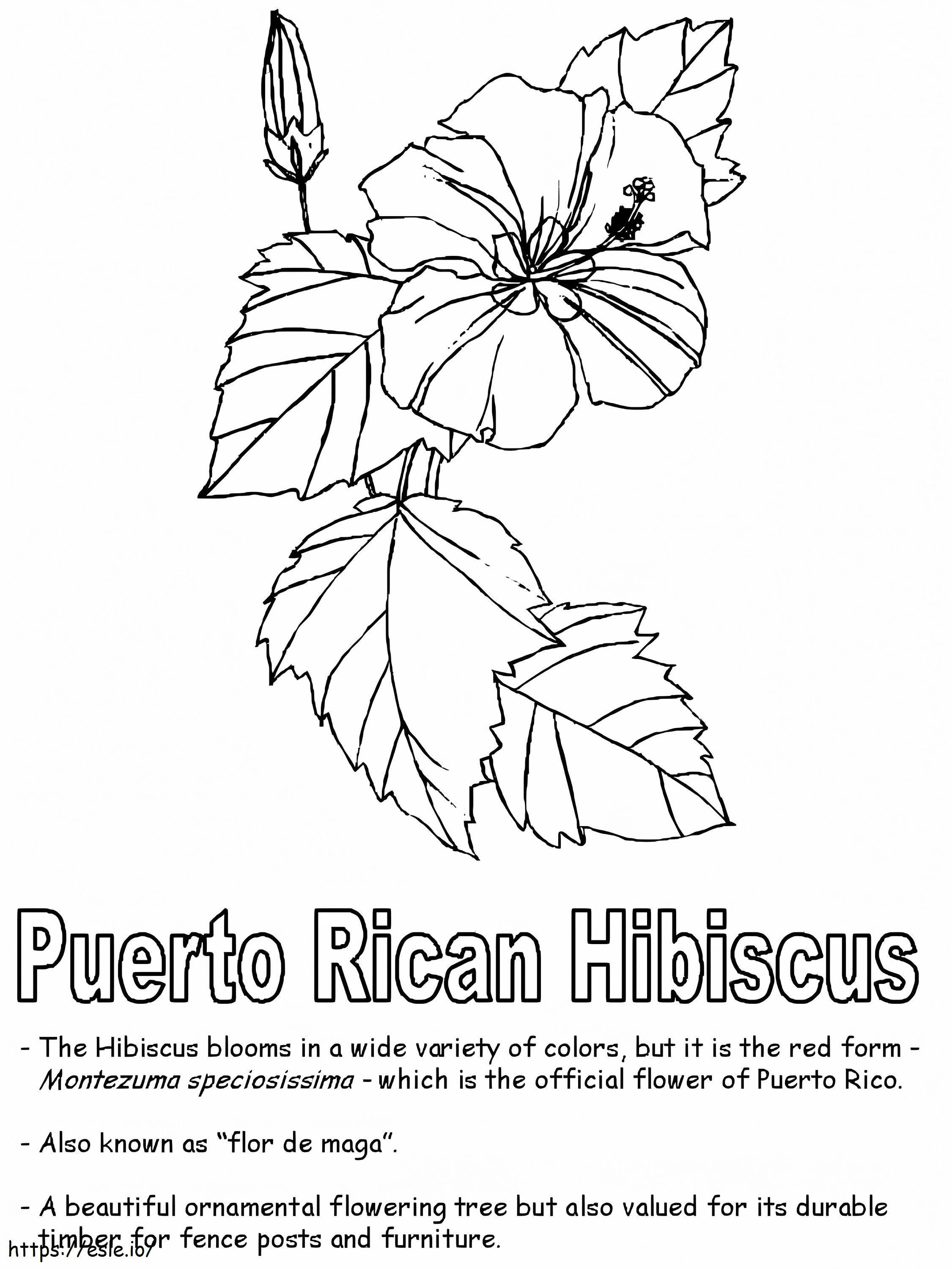 Hibisco puertorriqueño para colorear