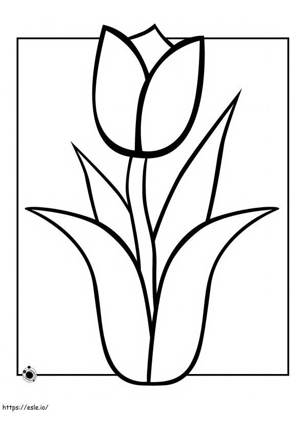 Tulp tekening kleurplaat