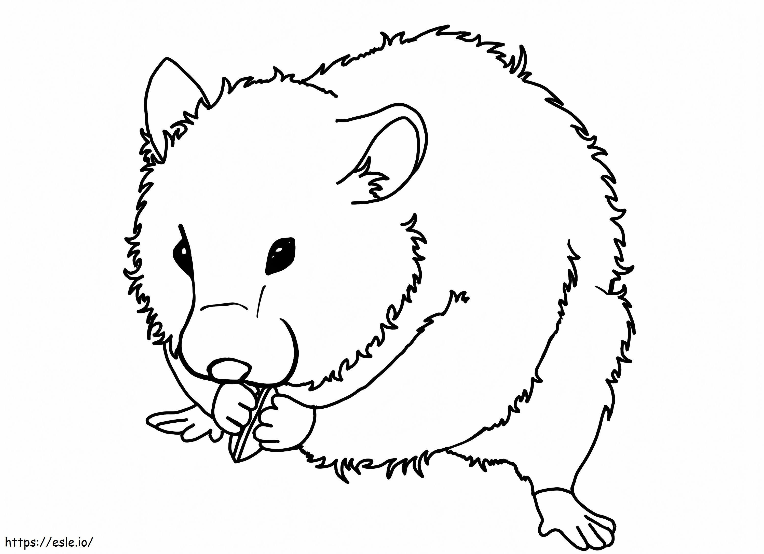 Guinea Pig 5 coloring page