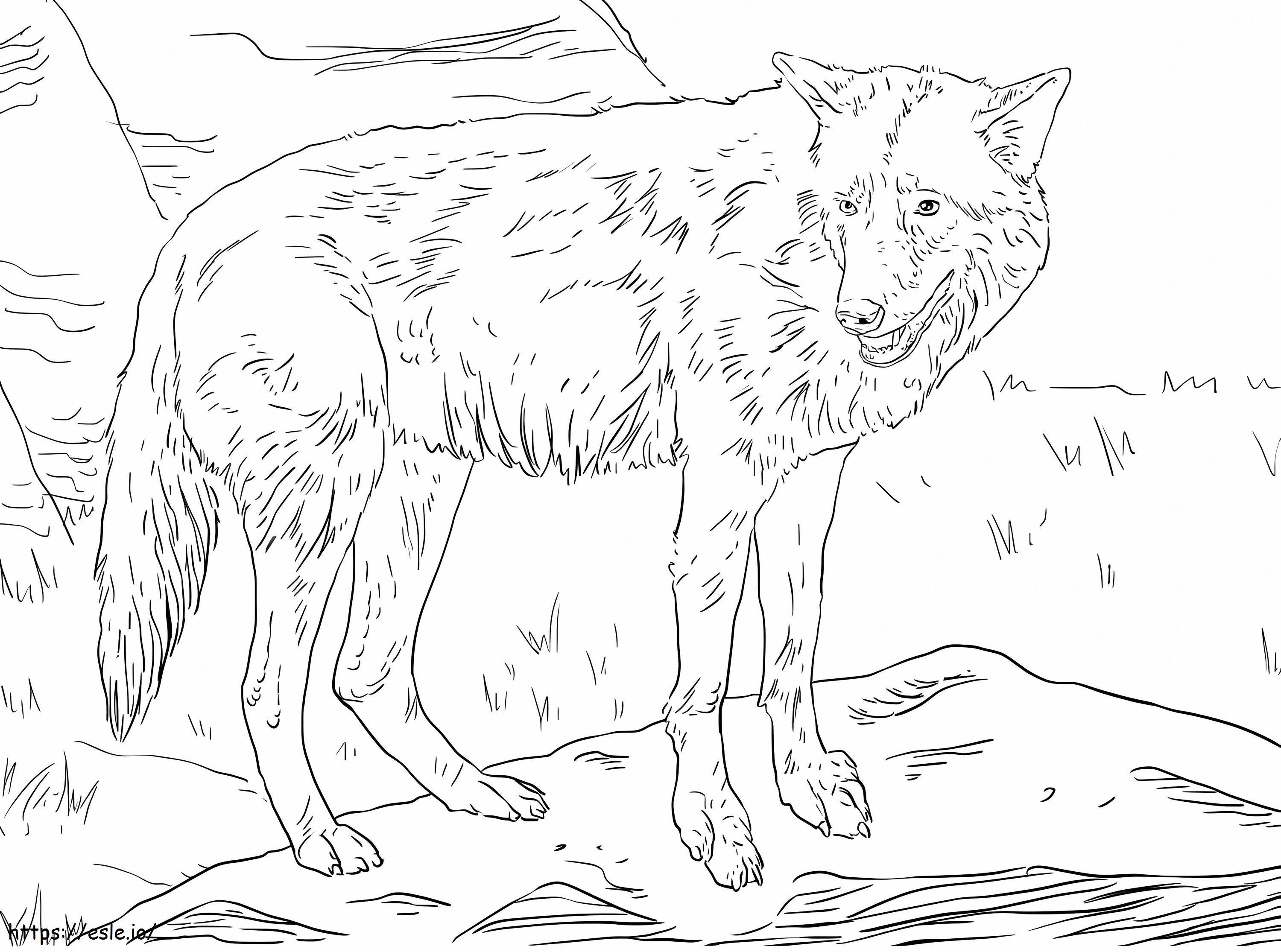 Coloriage Loup oriental à imprimer dessin